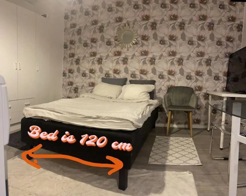 Yksioe 1,5 Km Kupittaalta / 3 Km Turun Keskustasta-1