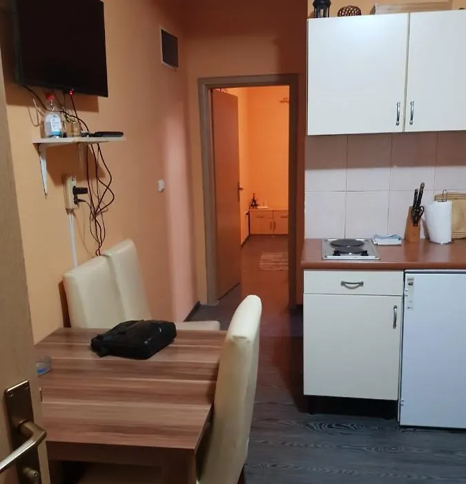 Ivkovic Apartments-1
