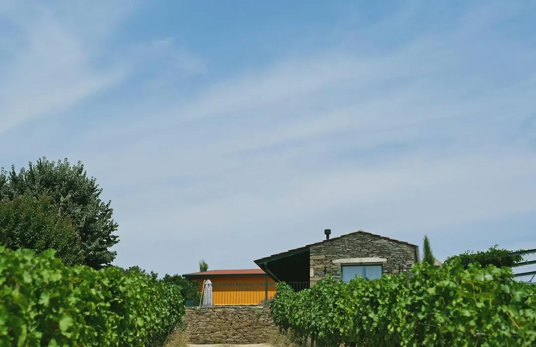 Quinta Do Monte Travesso - Country Houses & Winery-1