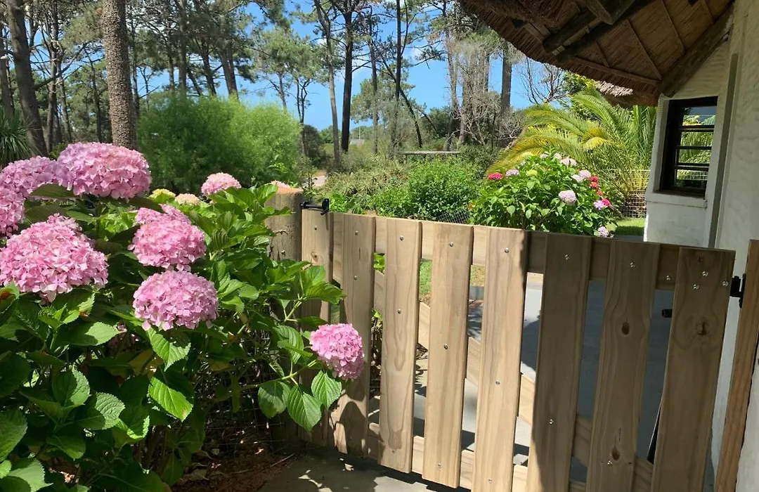 Casa Maritima En Portezuelo, Maldonado, Uruguay-1