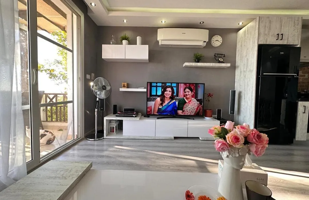Modern Apartment-1