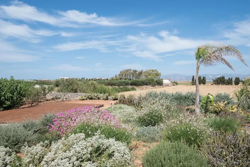 Villa Klar, On The Outskirts Of Naousa , Paros-1