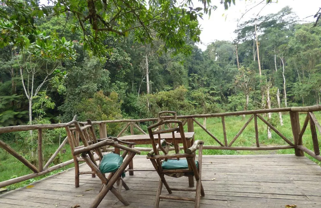 Nshongi Camp-1
