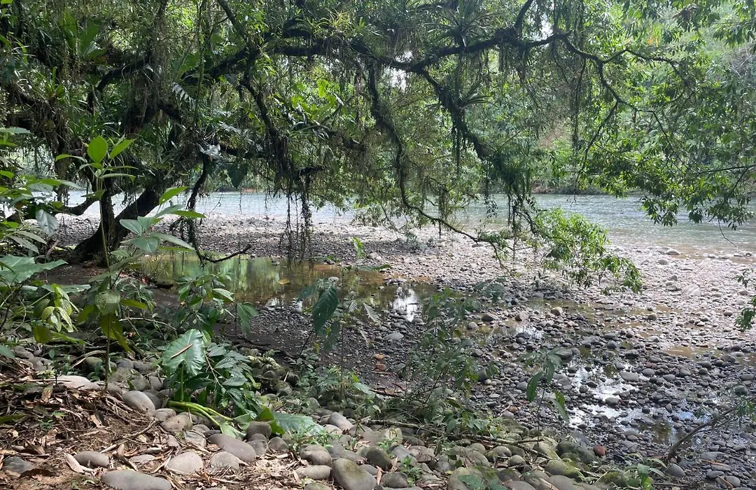 Caoni Riverside Lodge-1