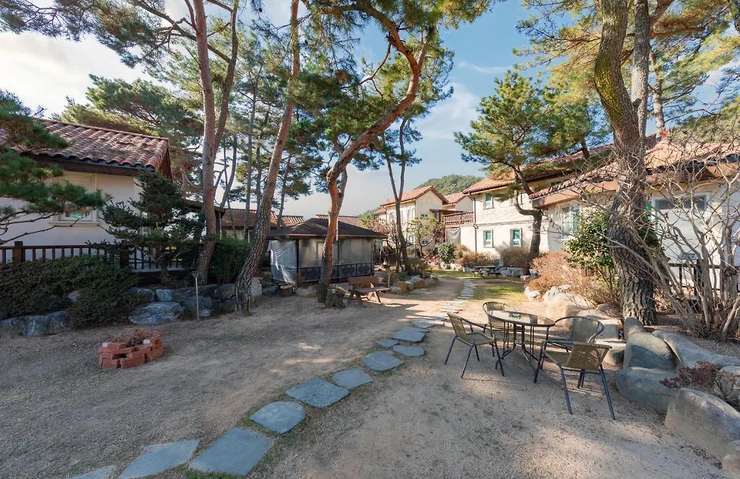 Clear Morning Pet Friendly Pension-1