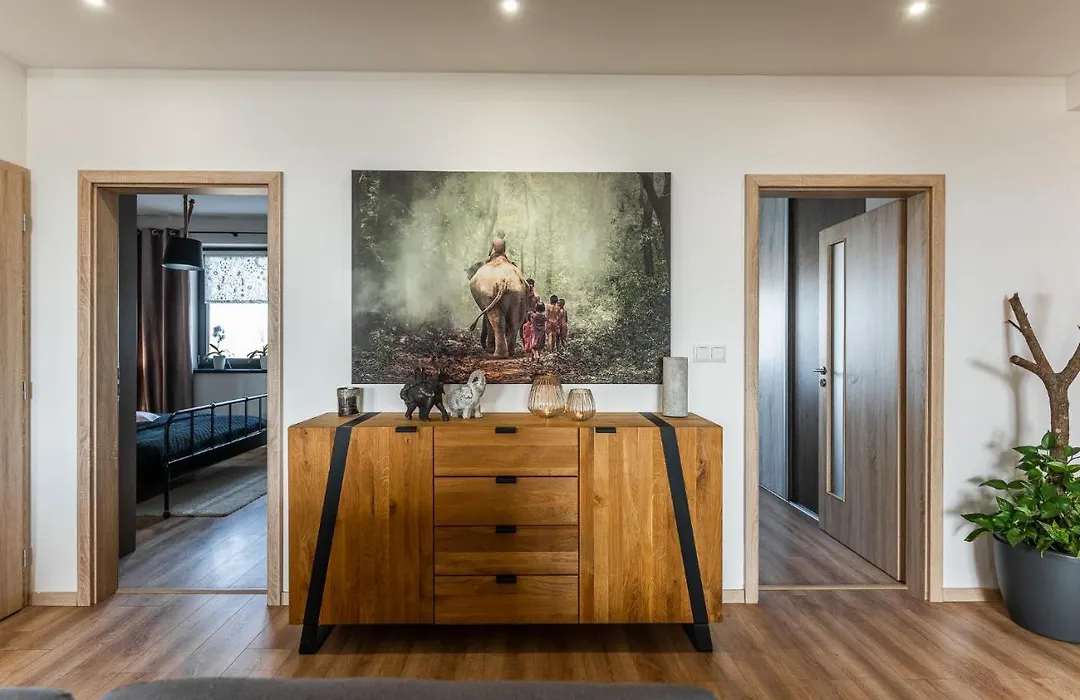 New Spacious Apartment With City View-1