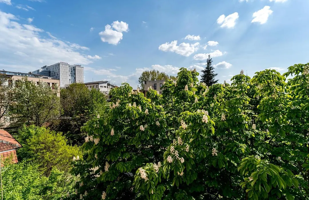 Apartment Kneza Milosa-1
