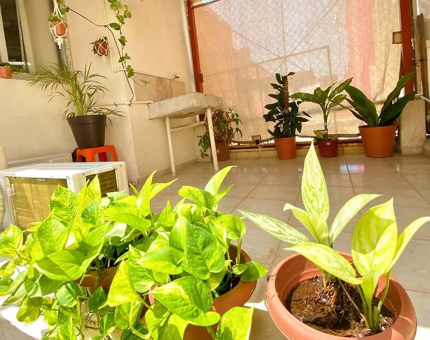 Casa Aloa Ixtapa-1