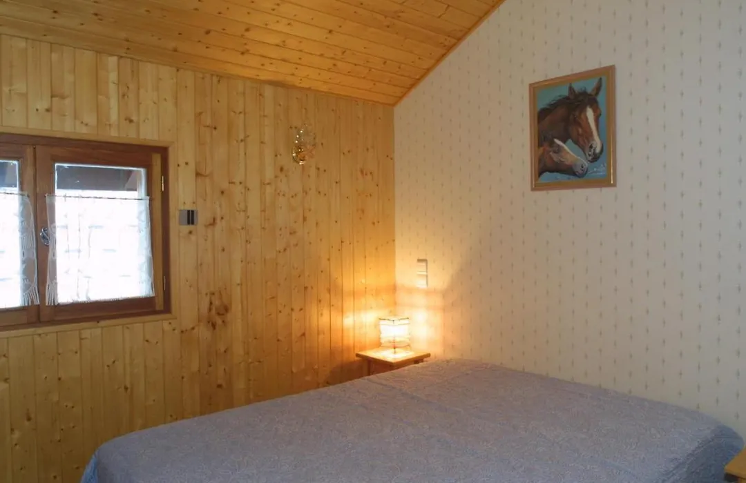Appartement Spacieux 3 Chambres + Mezzanine, Balcon, Proche Telecabines Et Centre, Animaux Admis - Fr-1-671-117-1