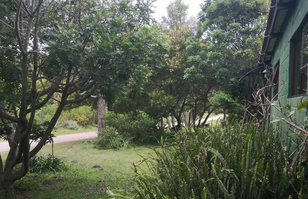 Tsitsikamma On Sea Self-Catering Cottages-1