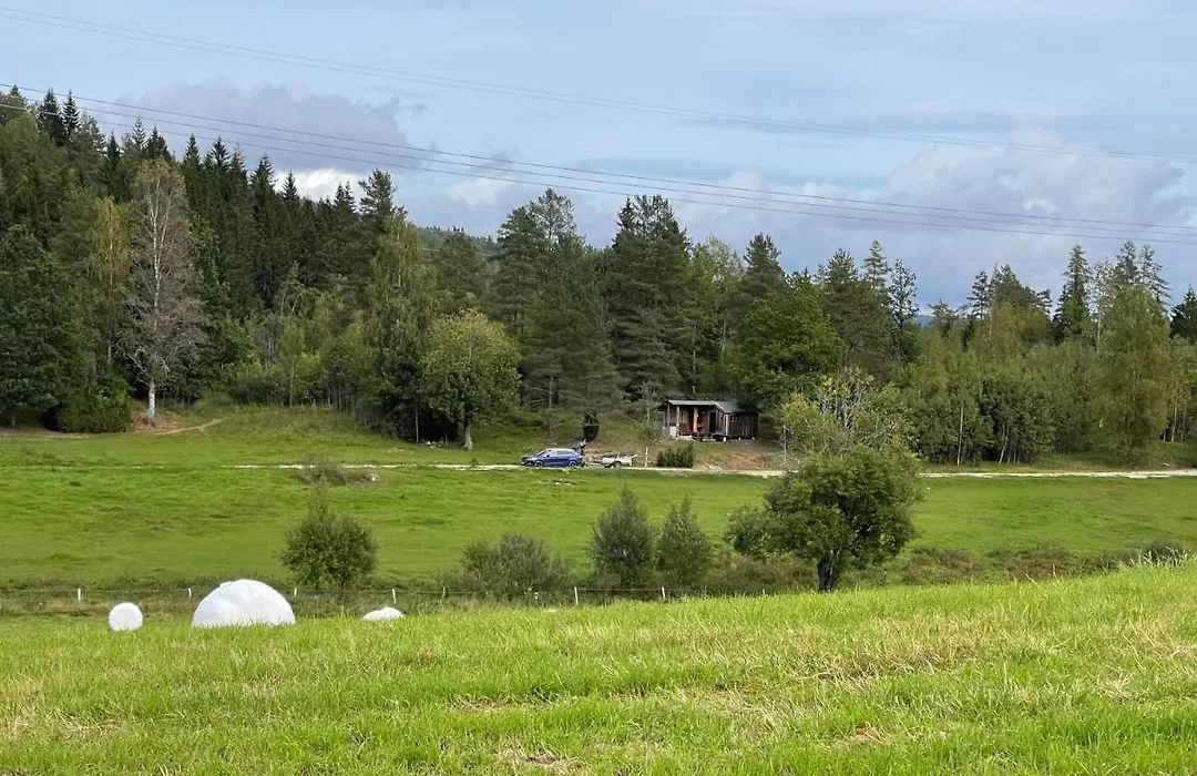 Koselig Liten Hytte I Skien-1