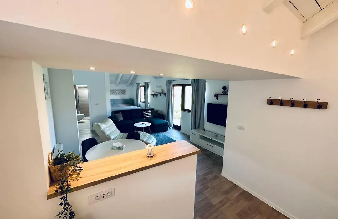 Vila Milincic Loft Milincic-1