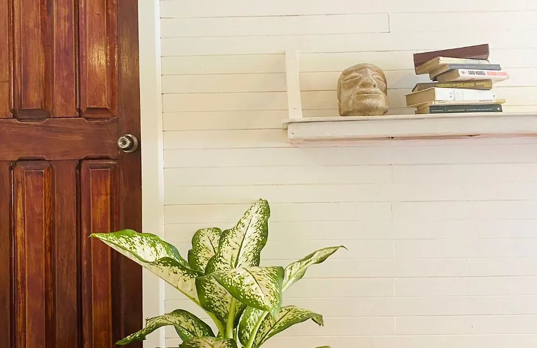 Amimodobeachrooms-1
