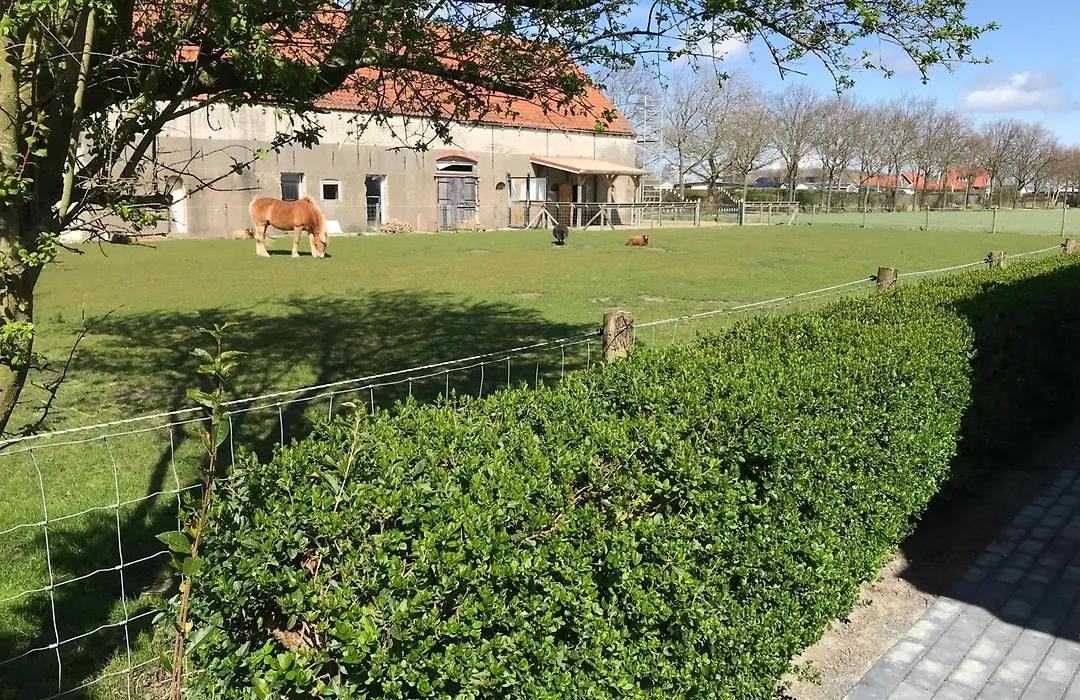Vakantiewoningen De Schelp-1