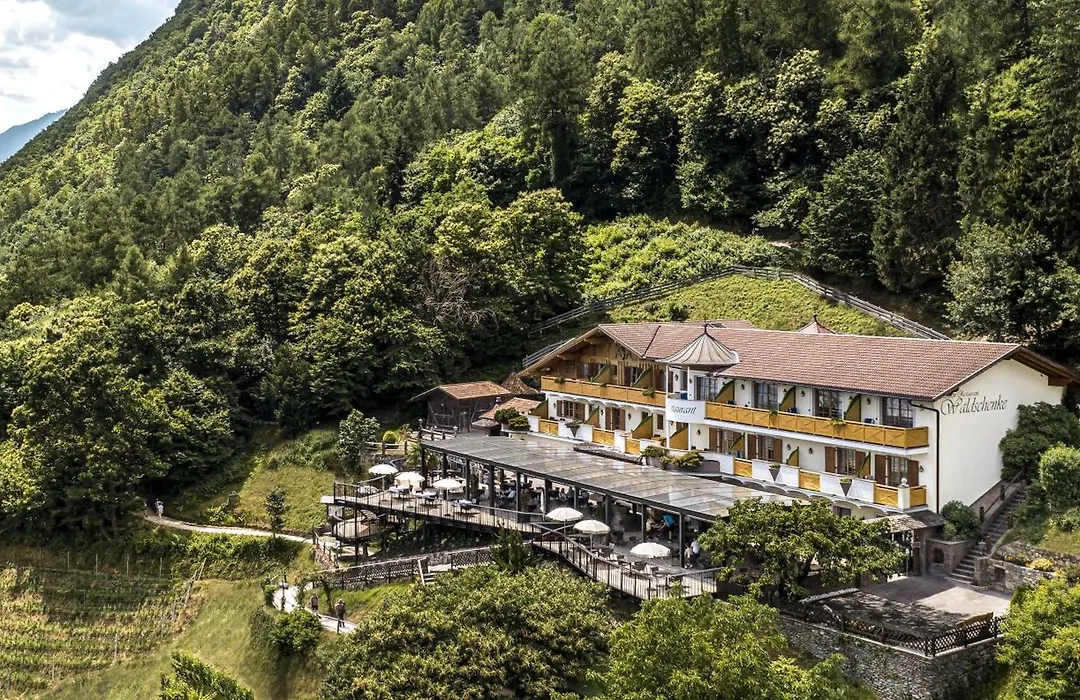 Hotel Gasthof Waldschenke-1