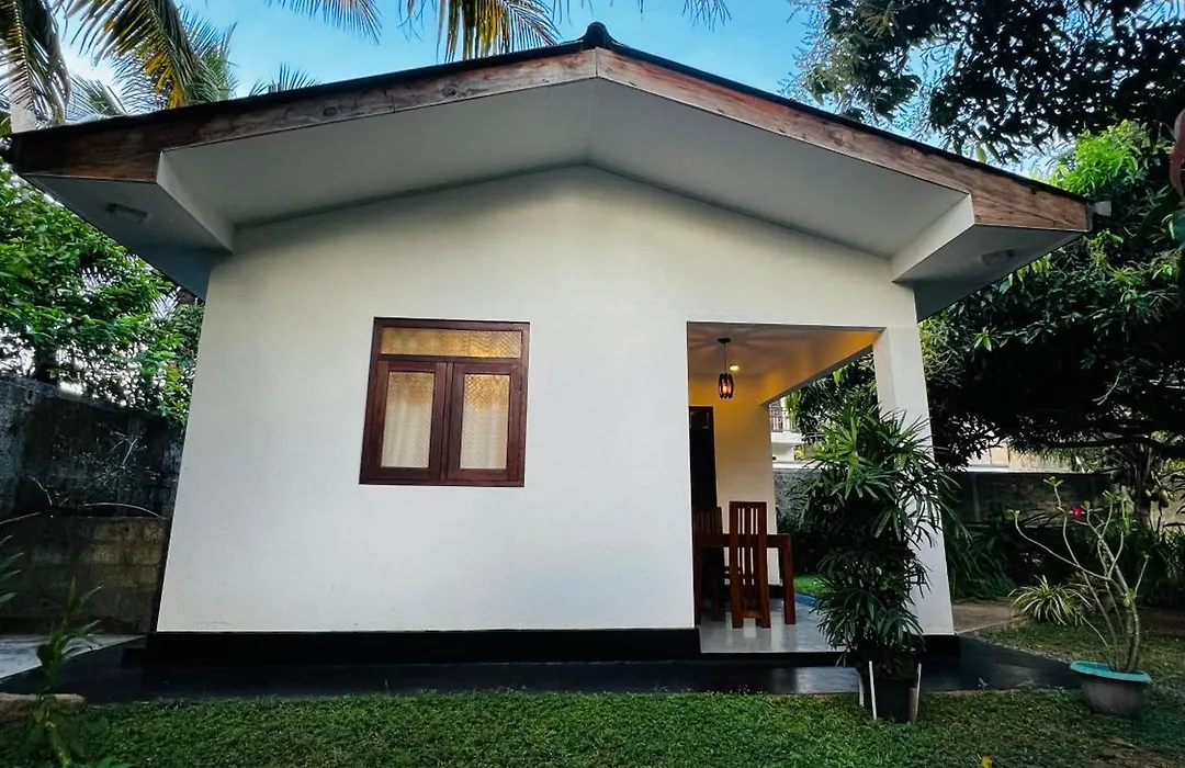 The Mango Retreat-1