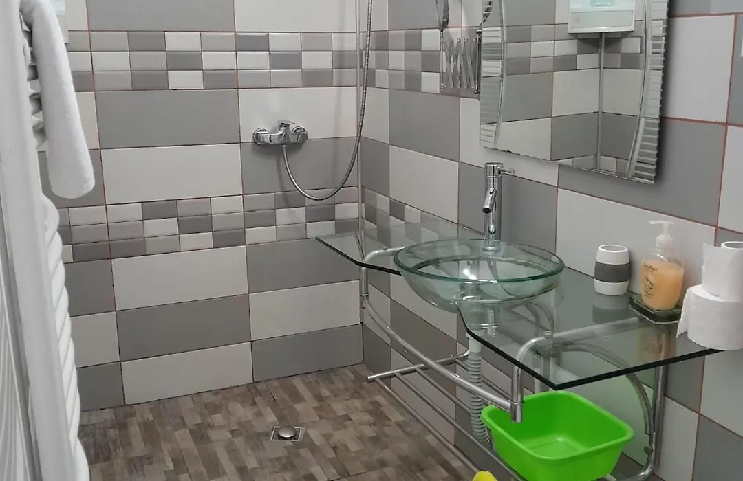 Olga House Deva-1