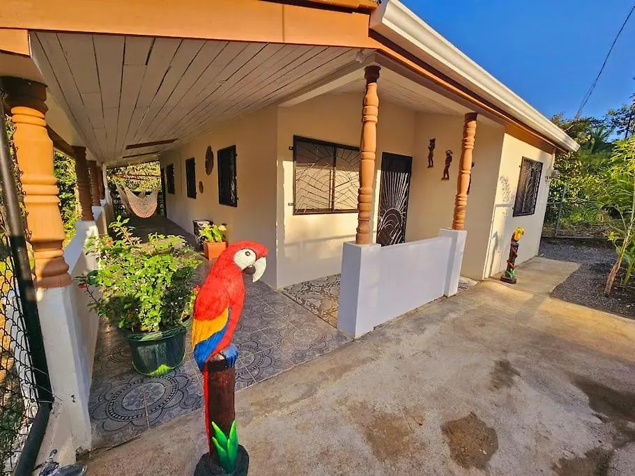 Casa Cariad Close To Surfing Lessons And More!-1
