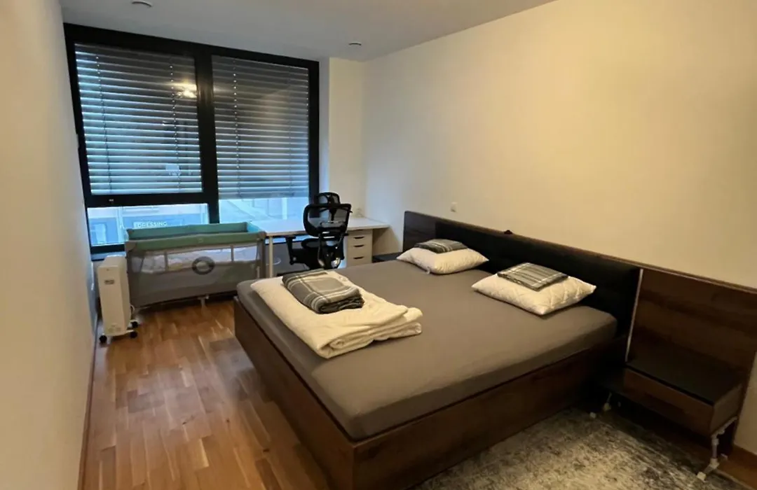 Luxembourg 2 Bedroom Apartment In Gasperich-1