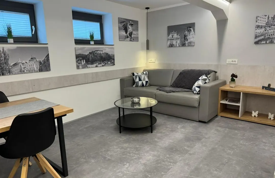 Vila Emona - Central Apartments - Free Parking-1