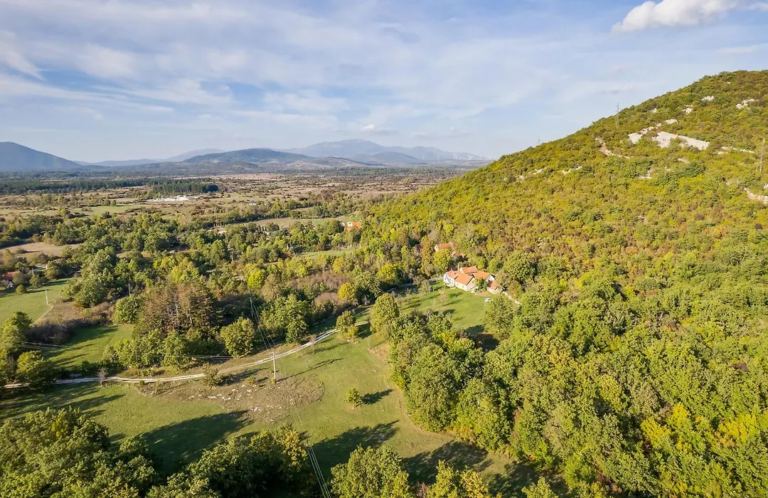 Sokol - Secret Forest House-1