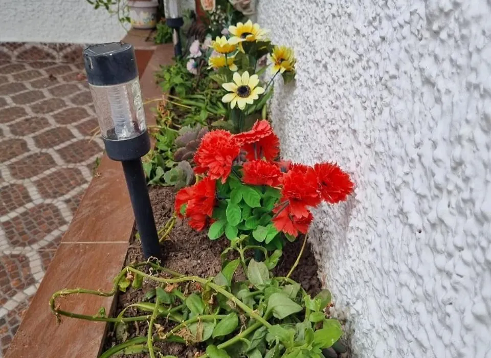 Lovely House With Garden-1