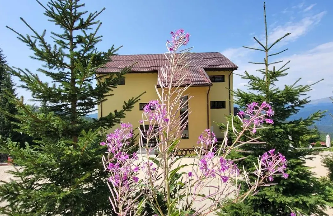 Pension Valea Mariei-1