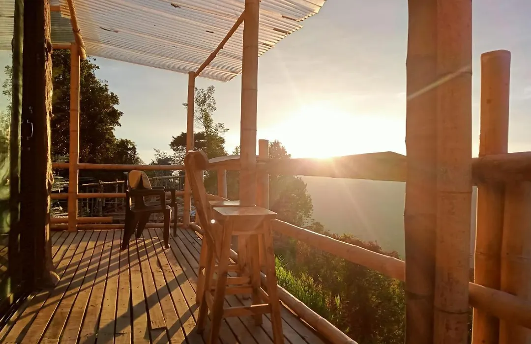 Glamping & Eco-Cabanas Salento Hakuna Matata Timon-1
