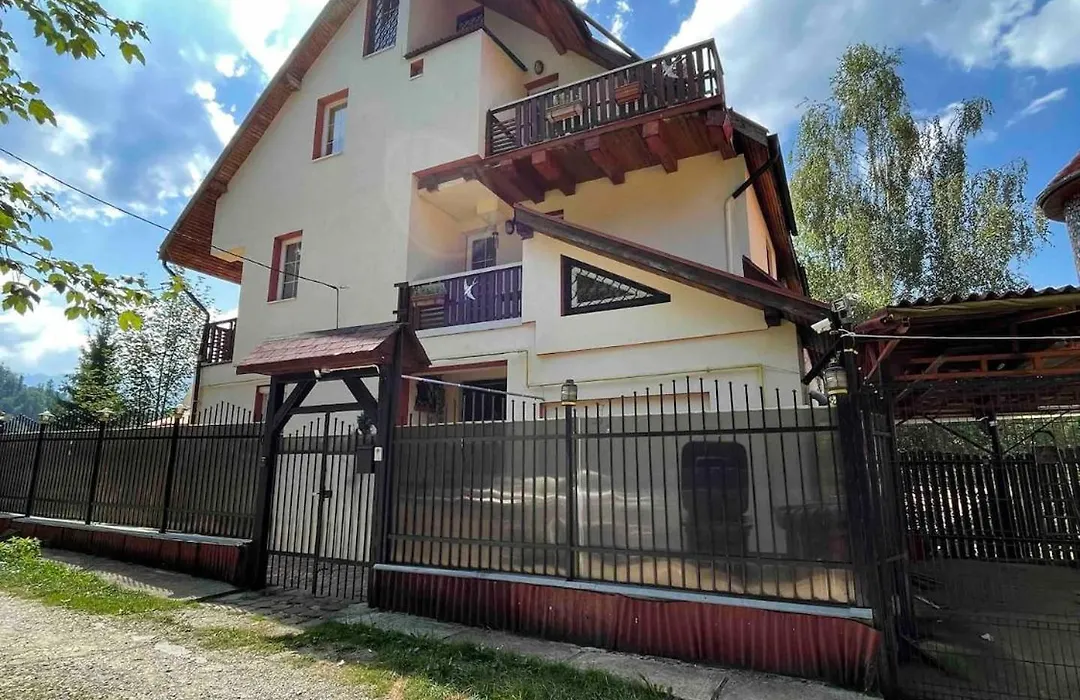 Celesta Trei Brazi-1