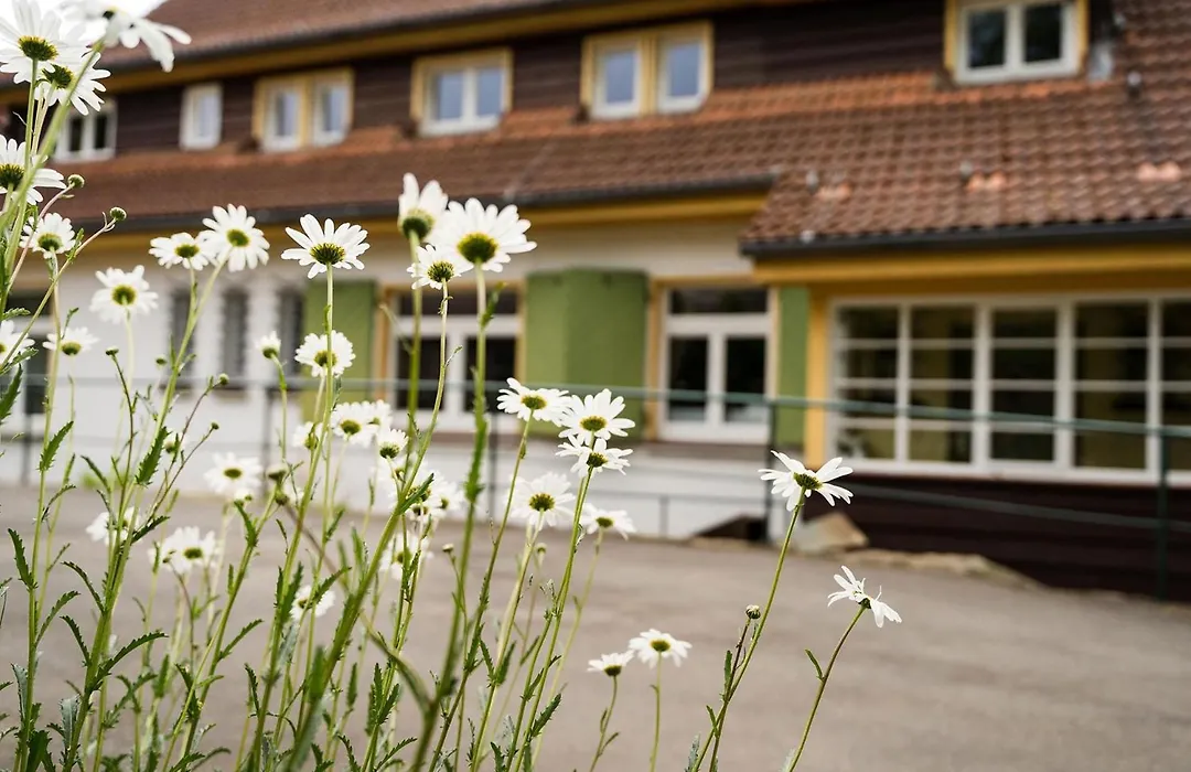 Pension zum Hexenstieg-1