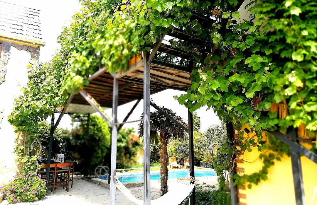 "Black Mountain" Guest House-1