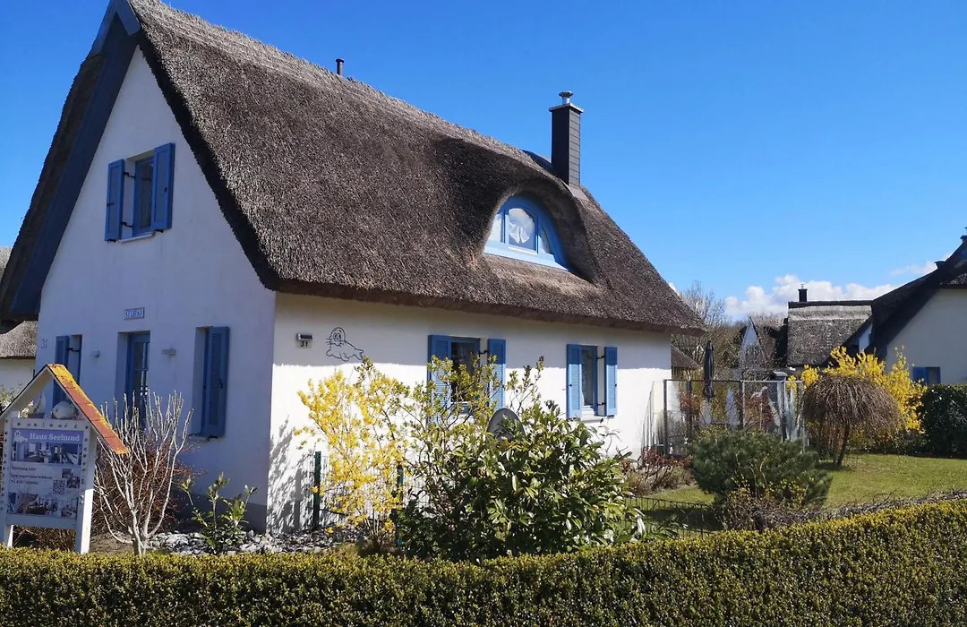 Ferienhaus Seehund-1