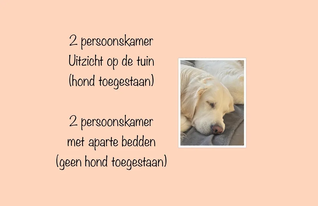 Zilt Texel-1