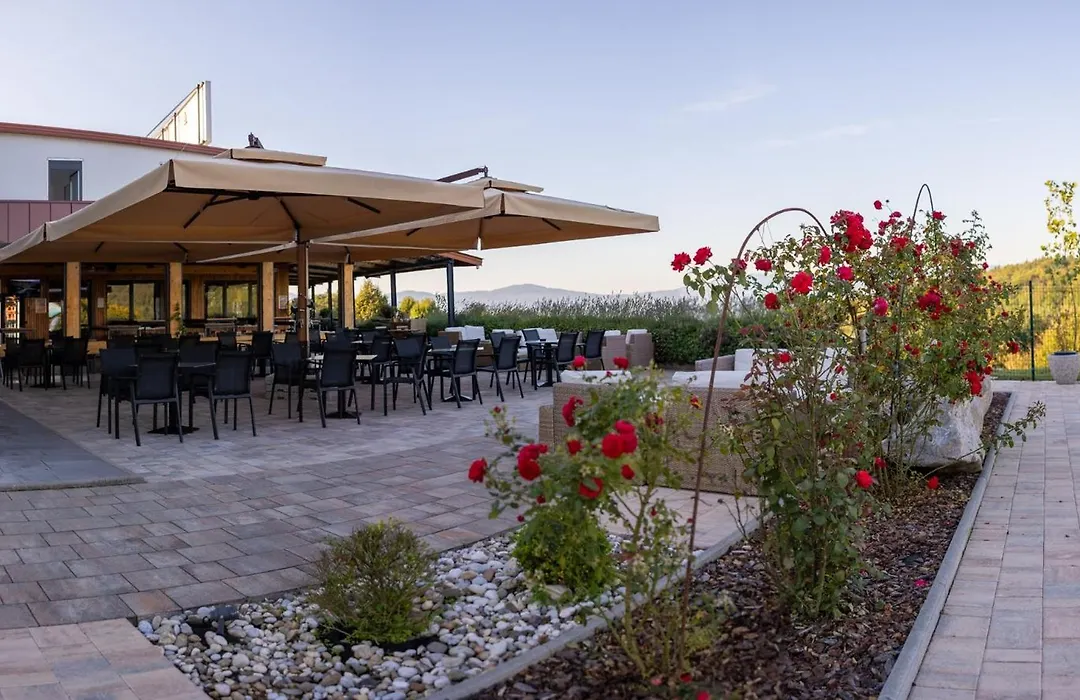 Hotel Dolenjc-1