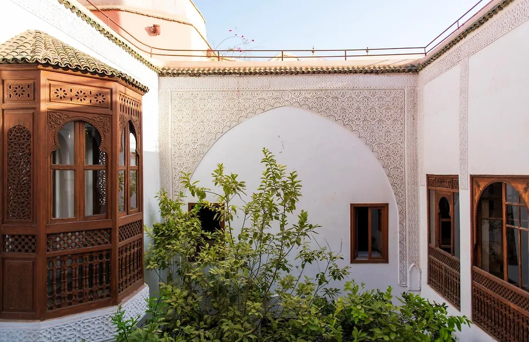 Riad Ben Youssef-1