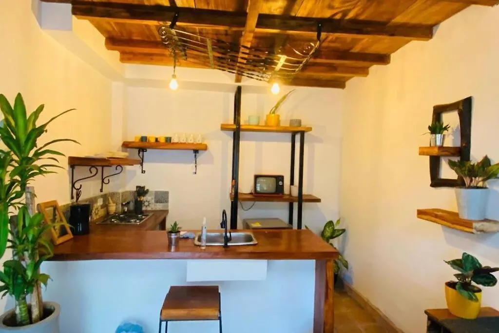 Apartamento Moderno Pardo 1945-1