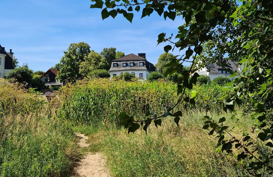 Villahotel Rheinblick-1