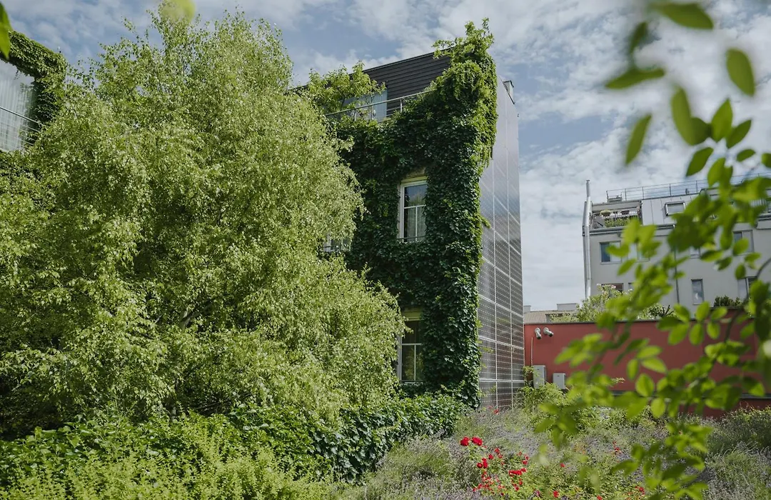 Cocoon Wien Westbahnhof - Ehemals Boutiquehotel Stadthalle-1