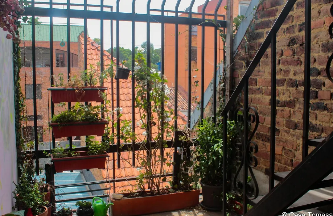 Casa Tomasa-1