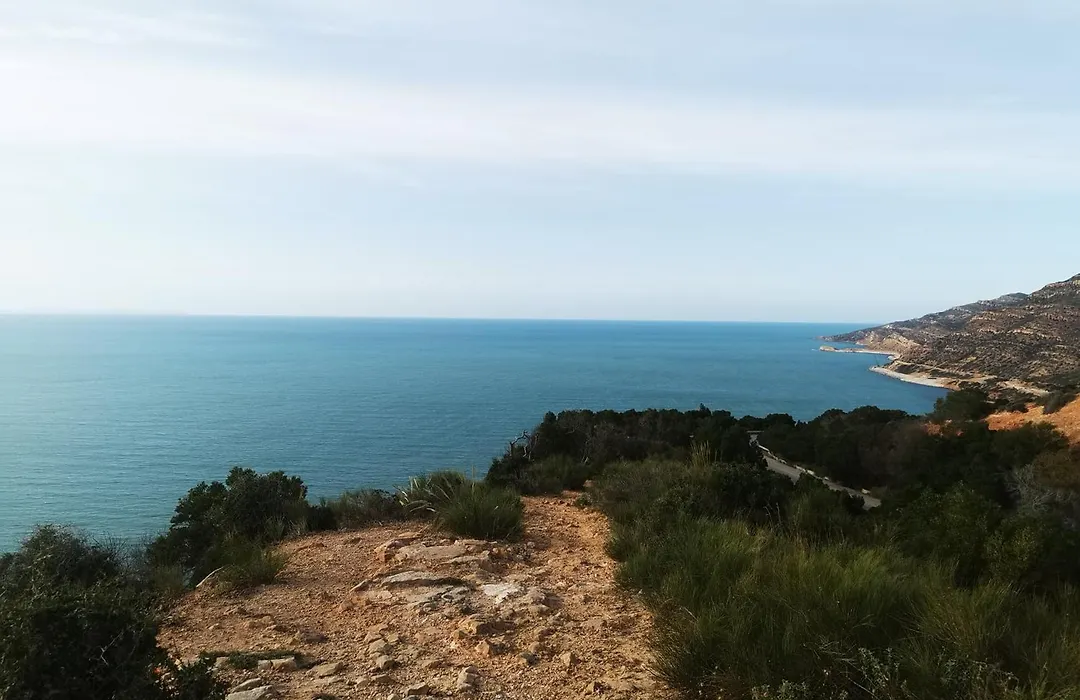 Tiba soliman plage-1