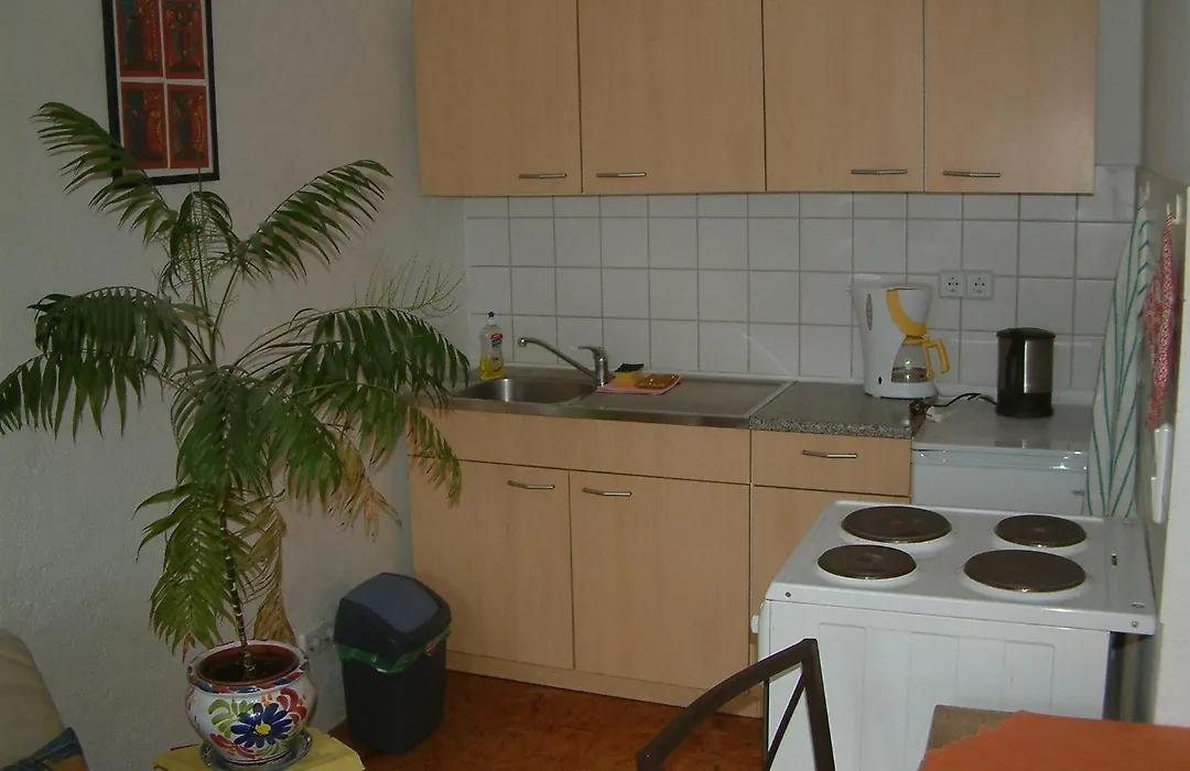 Pension Ole-1