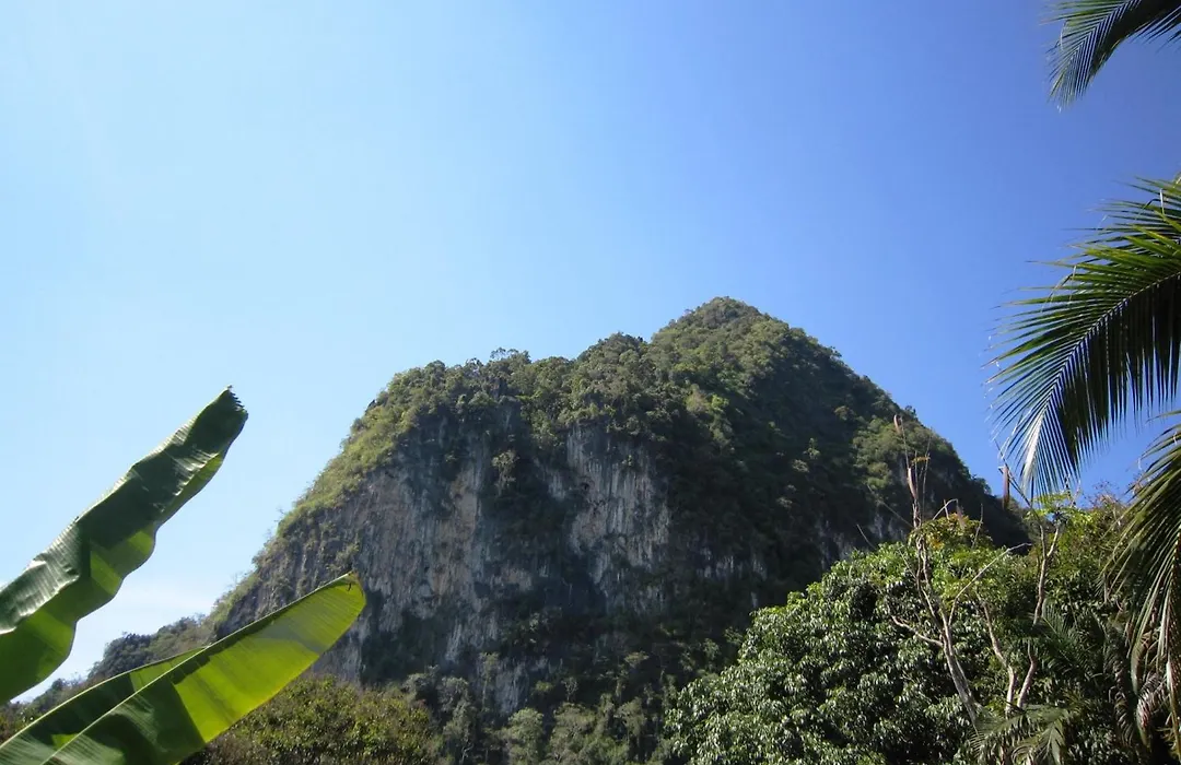 Phanom Bencha Mountain Resort-1