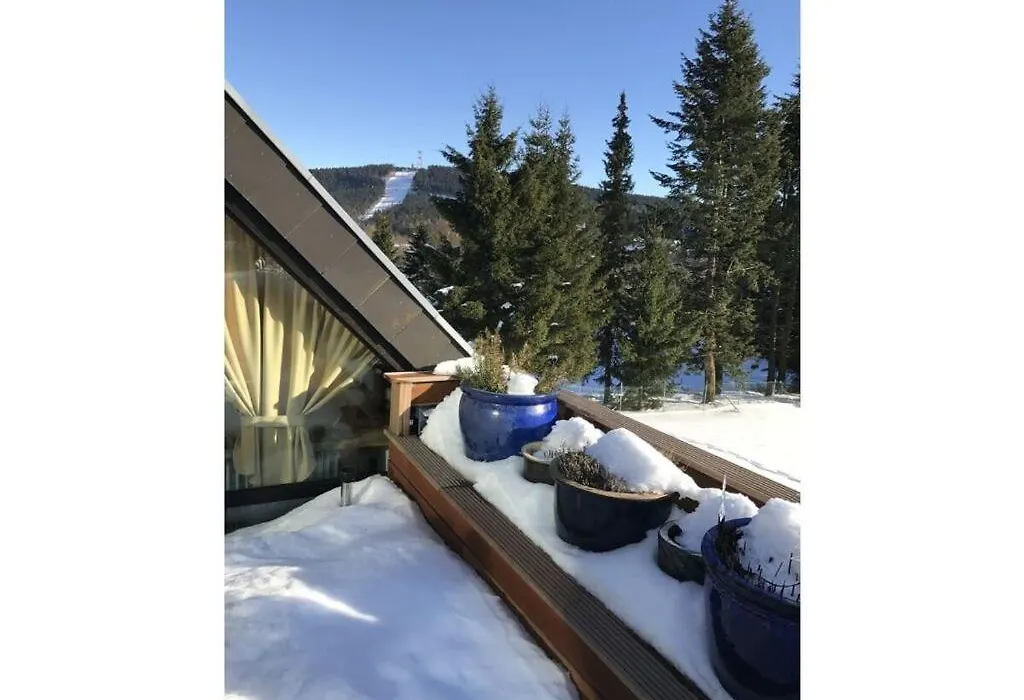 Dream View Comfortable Holiday Residence-1