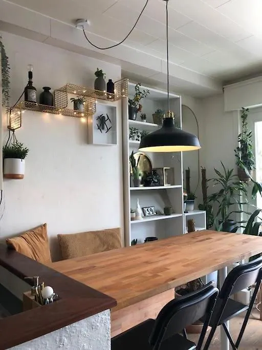 Studio Zeezucht-1