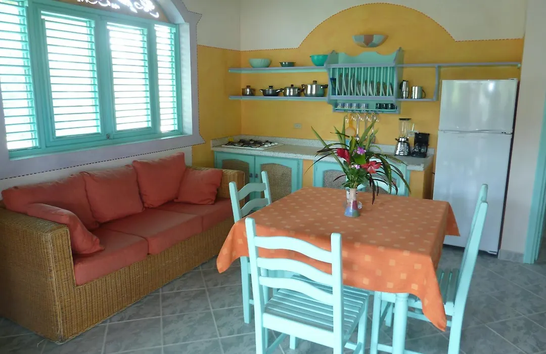 Hotel Playa Colibri-1