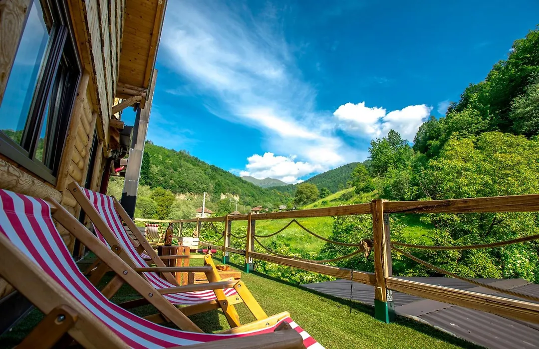 Sum Apartmani - Stara Planina-1