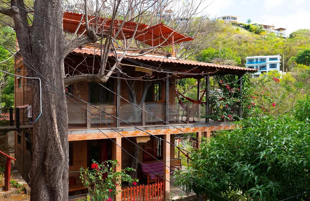 2 Bedroom Apartment In Lush Garden, 3 Blocks From Beach And Center Of San Juan-1
