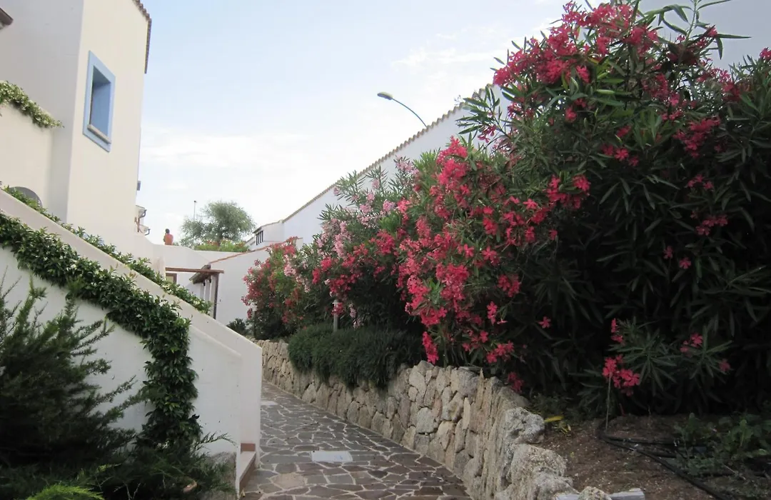 Hotel Resort Nuraghe Arvu-1