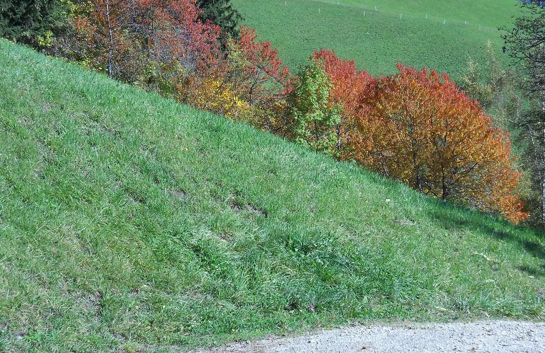 Bauernhof Zwiglhof-1