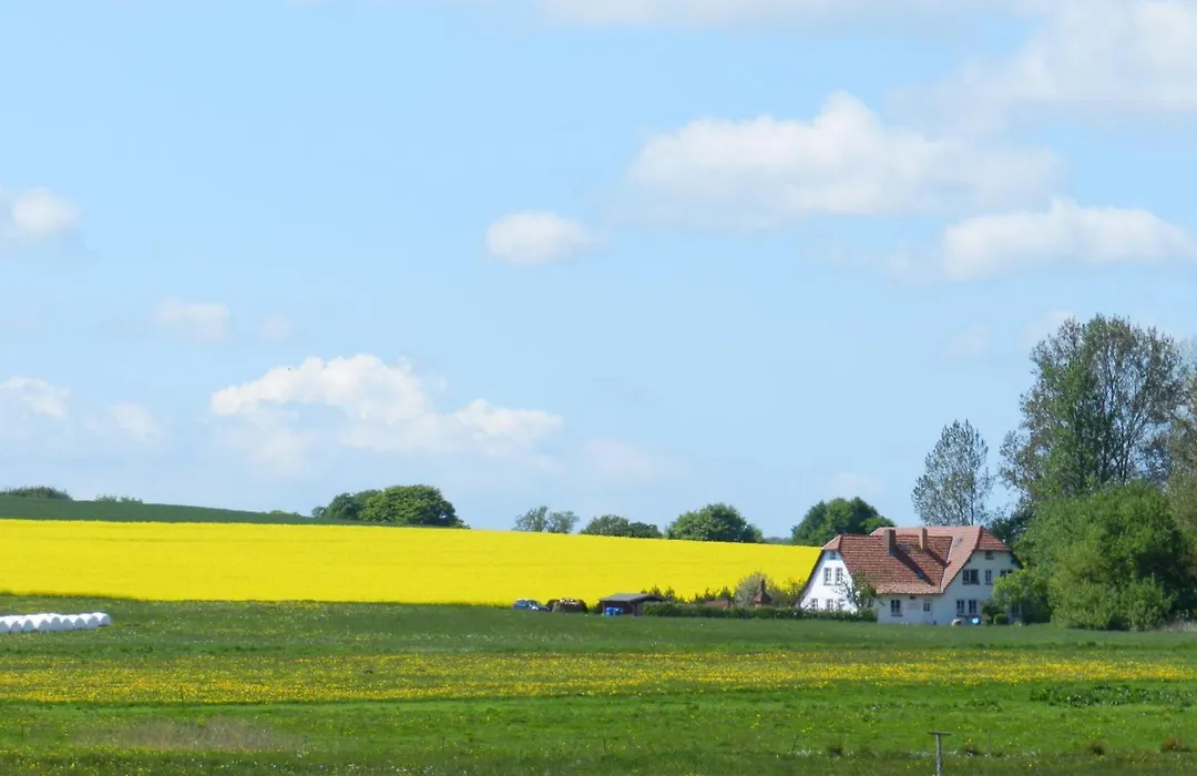 Landhaus Alt Reddevitz-1